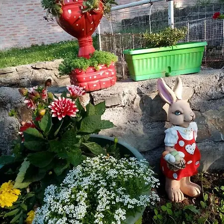 Nyaraló Bozanstvena Drina *